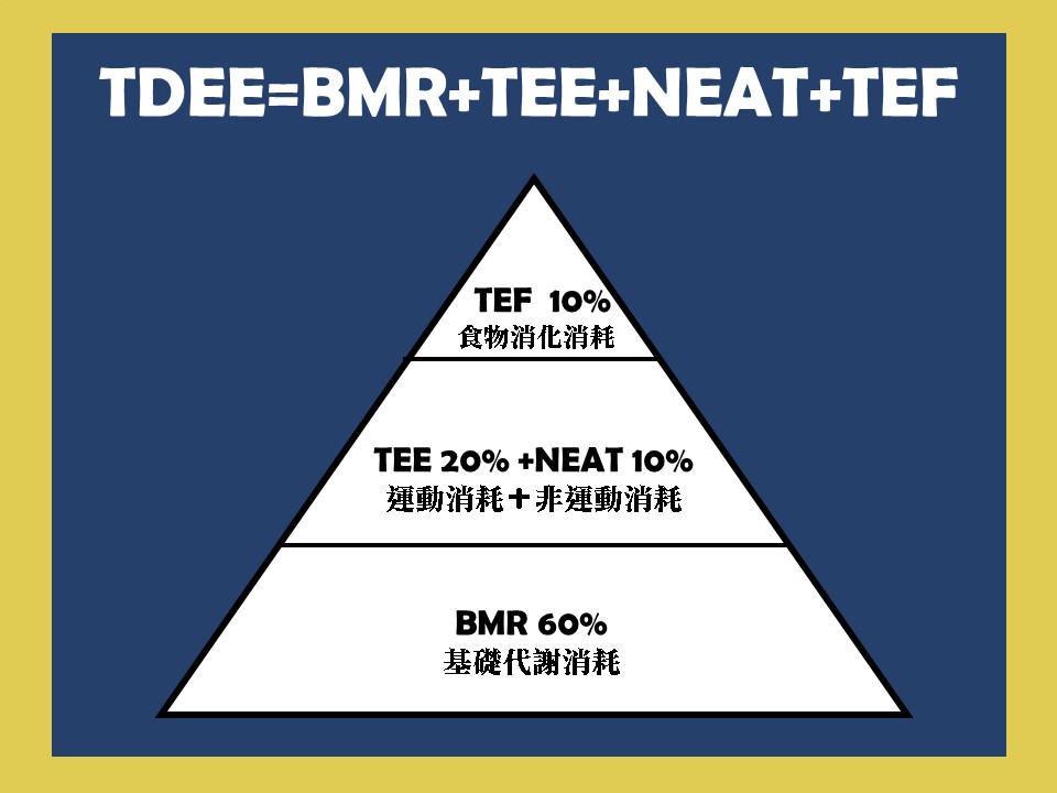 BMR計算示意圖